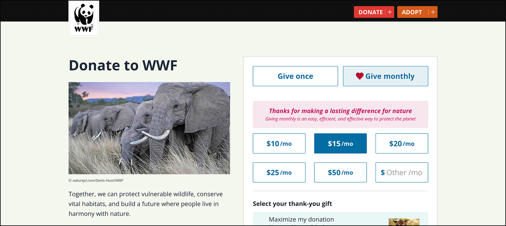 A screenshot of the WWF's donation page.