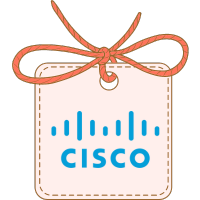 DTD_Sourcing & Utilizing Employment Data for Higher Education_Cisco