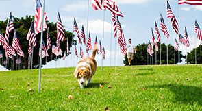 Offering a flag subscription service is a great fundraising idea that can help your organization earn money and give back to the community.